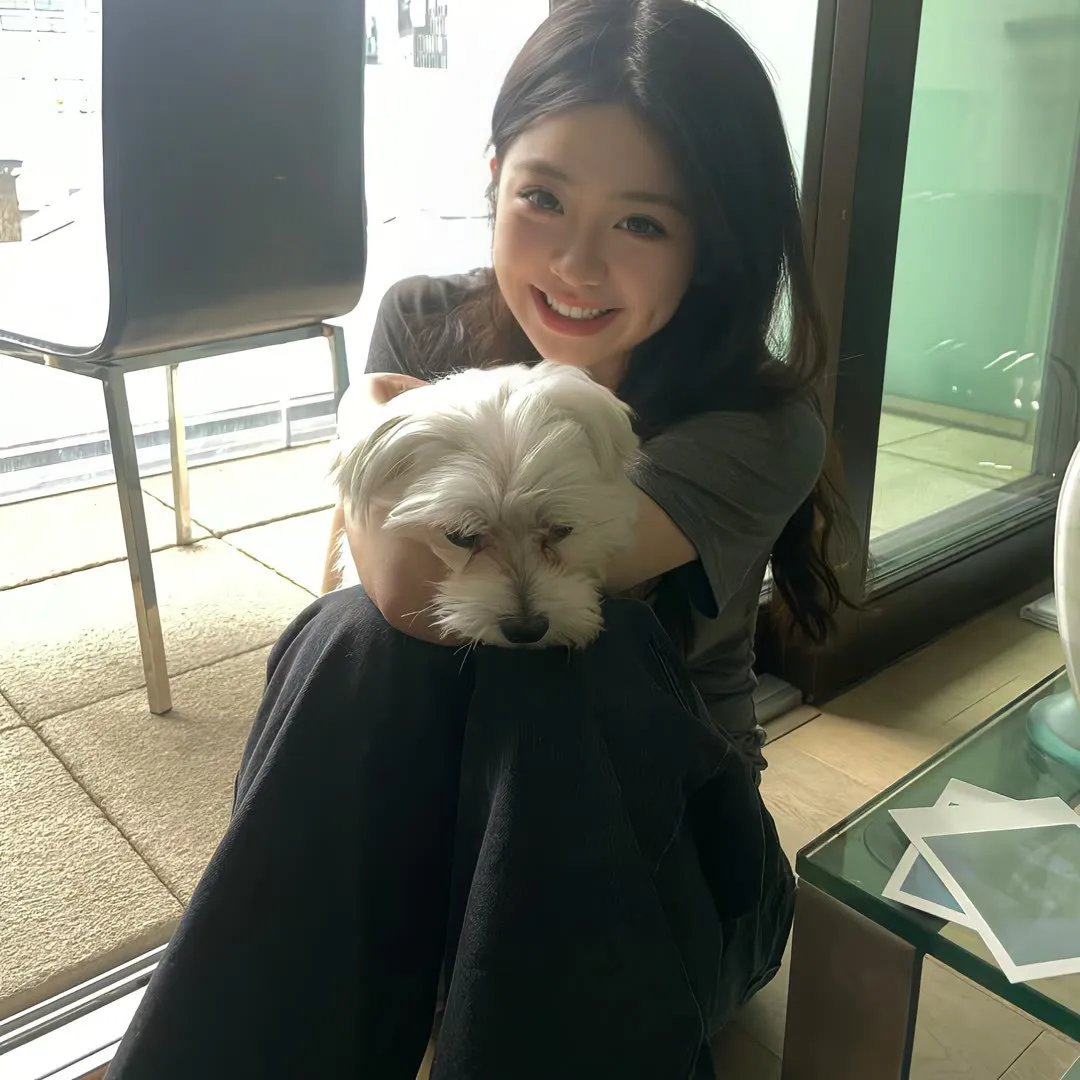 火舞风云